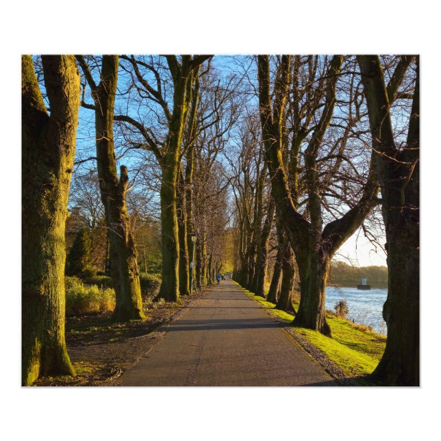 Park Fotodruck (Vorne)