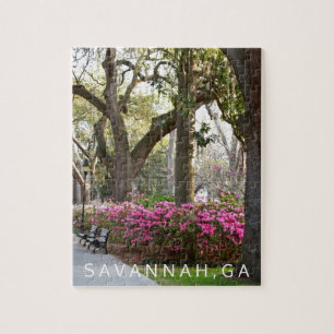 Park-Frühlings-Azaleen Savanne-Georgia   Forsyth Puzzle