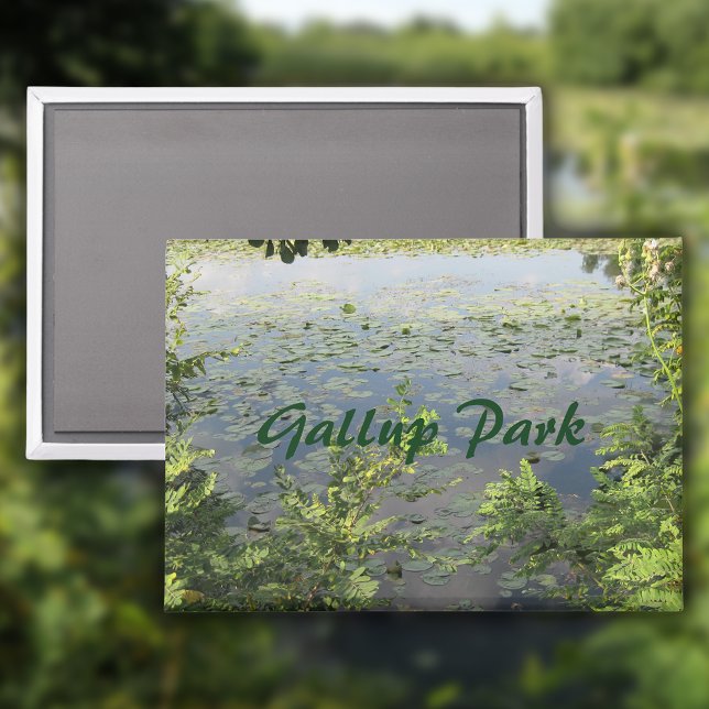 Park/Garten: Magnet (Von Creator hochgeladen)