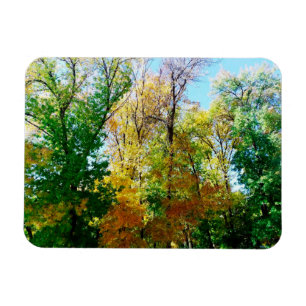Park in der ukrainischen Provinzstadt Postcard ma Magnet