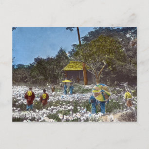 Park in Tokio Japan Vintage Hand Tinted Postkarte