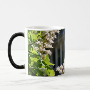 "Park-Land-Frühlings-" Tasse
