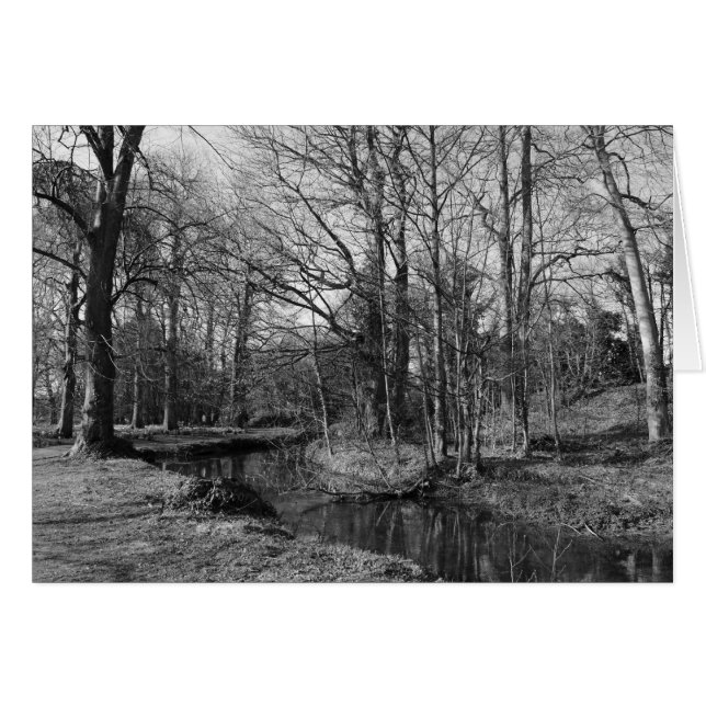 Park Landscape - Bute Park, Cardiff (Vorderseite (Horizontal))