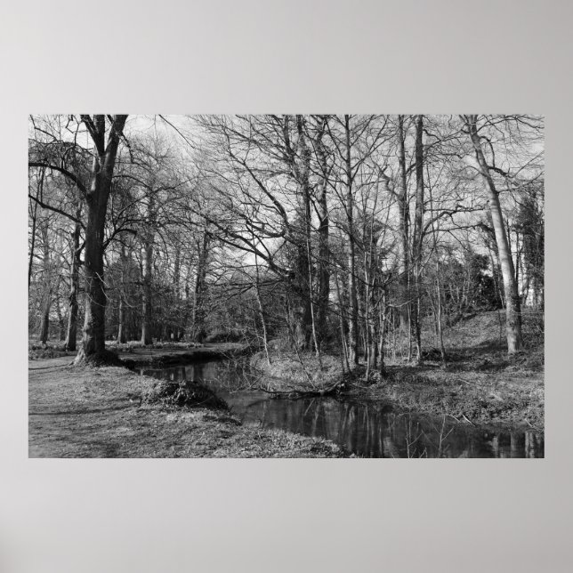 Park Landscape - Bute Park, Cardiff Poster (Vorne)