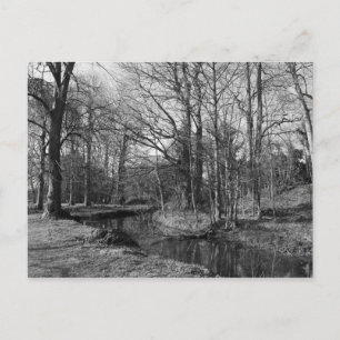Park Landscape - Bute Park, Cardiff Postkarte