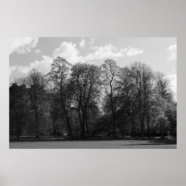 Park Landscape Poster (Vorne)