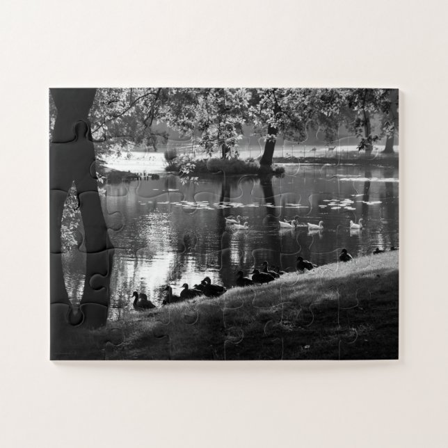 Park Life 11 x 14 30pc jpcna Puzzle (Horizontal)