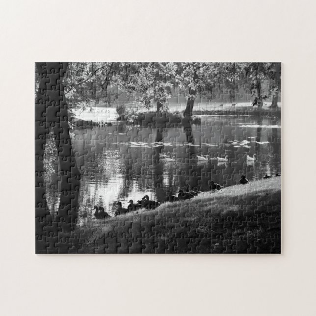 Park Life 11x14 252pc jpcnm Puzzle (Horizontal)