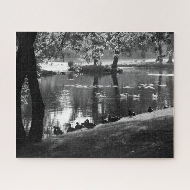 Park Life 16x20 520pc jpcna Puzzle (Horizontal)