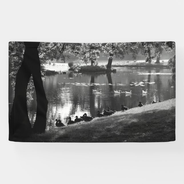 Park Life bnrcnm Banner (Horizontal)