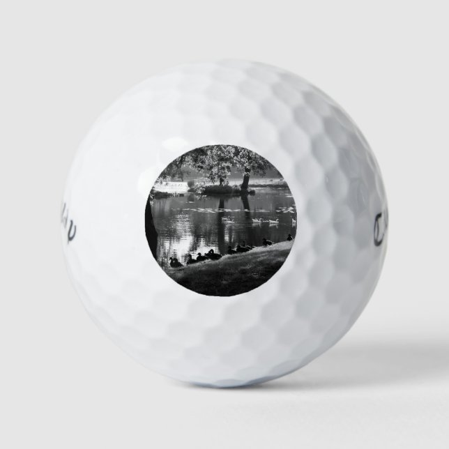 Park Life cwb gbcna Golfball (Vorderseite)