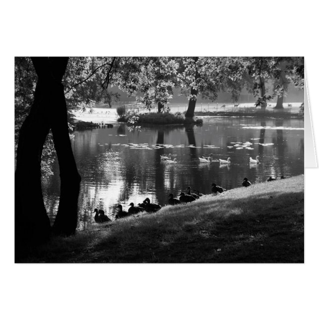 Park Life Gccna (Vorderseite (Horizontal))
