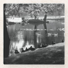 Park Life Küstenercnm Glasuntersetzer