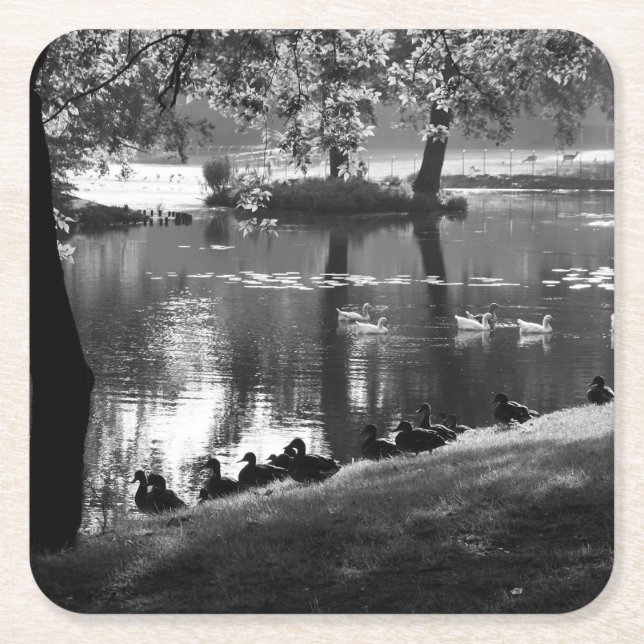 Park Life Küstenercnm Rechteckiger Pappuntersetzer (Vorderseite)