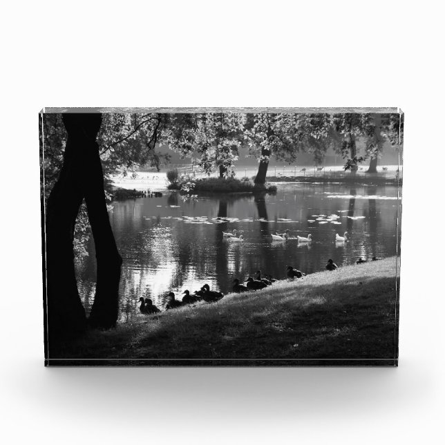 Park Life pba Fotoblock (Vorderseite)