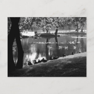 Park Life Pcca Postkarte