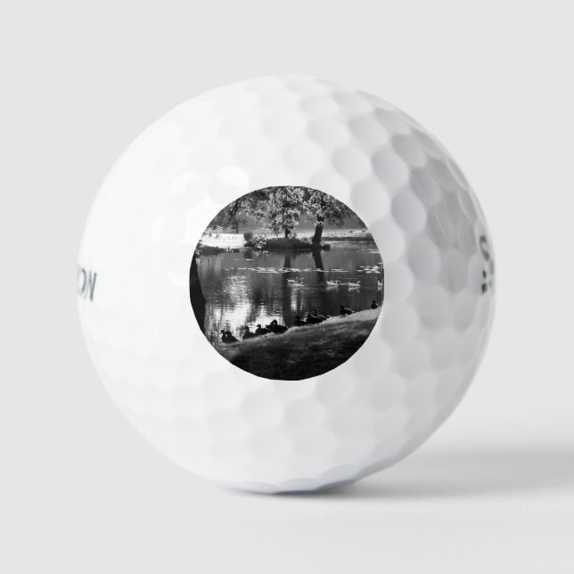 Park Life ssf gbcna Golfball (Vorderseite)