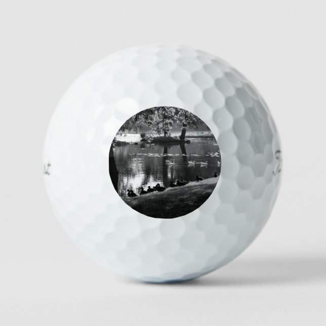 Park Life tpv1 gbcna Golfball (Vorderseite)