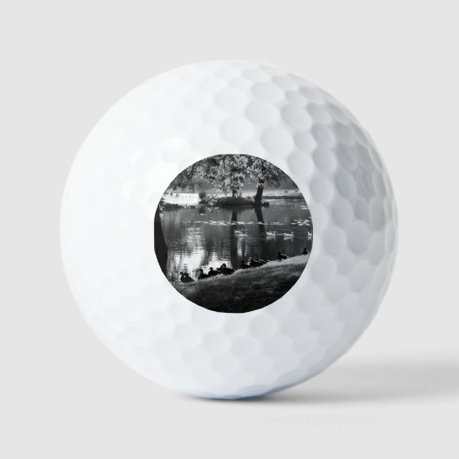 Park Life va gbcnm Golfball (Vorderseite)