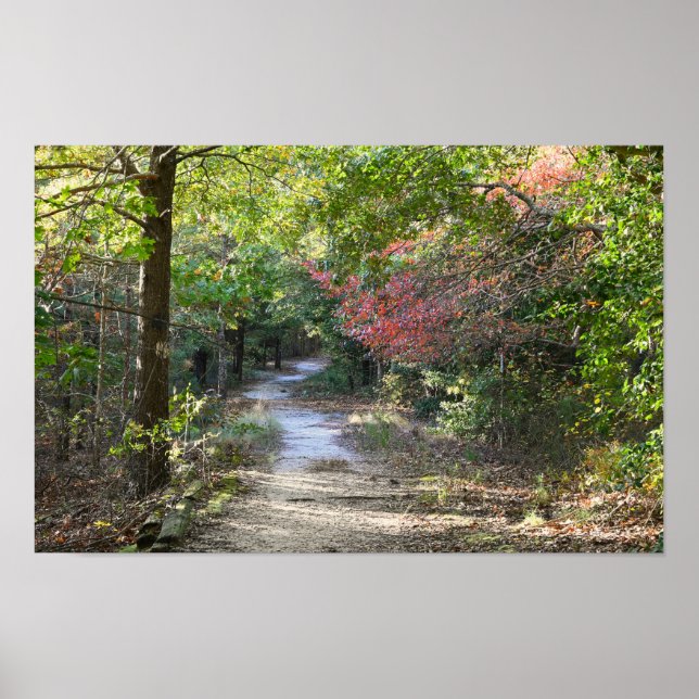 Park Path Foto Poster (Vorne)