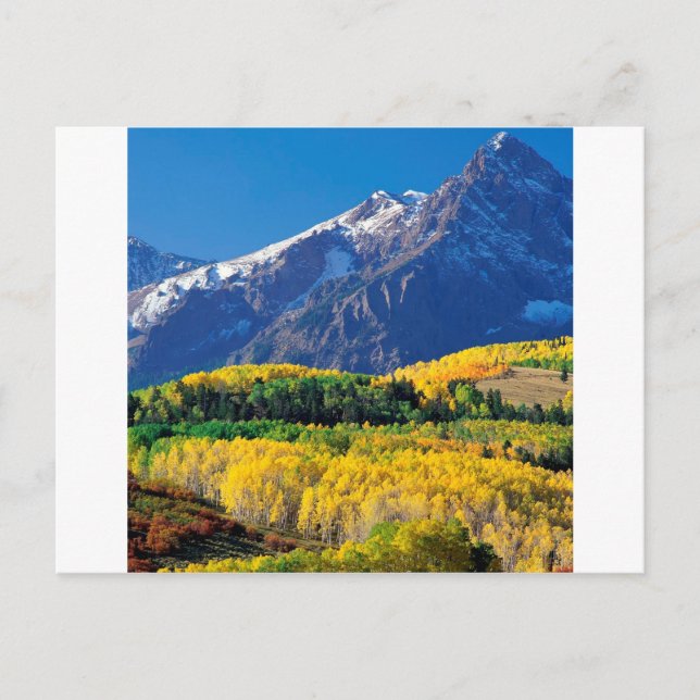 Park Sneffels Uncompahgre Forest Colorado Postkarte (Vorderseite)