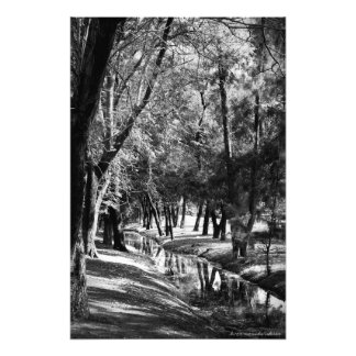 Park Stream B&W Fotografie Print