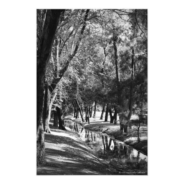Park Stream B&W Fotografie Print (Vorne)