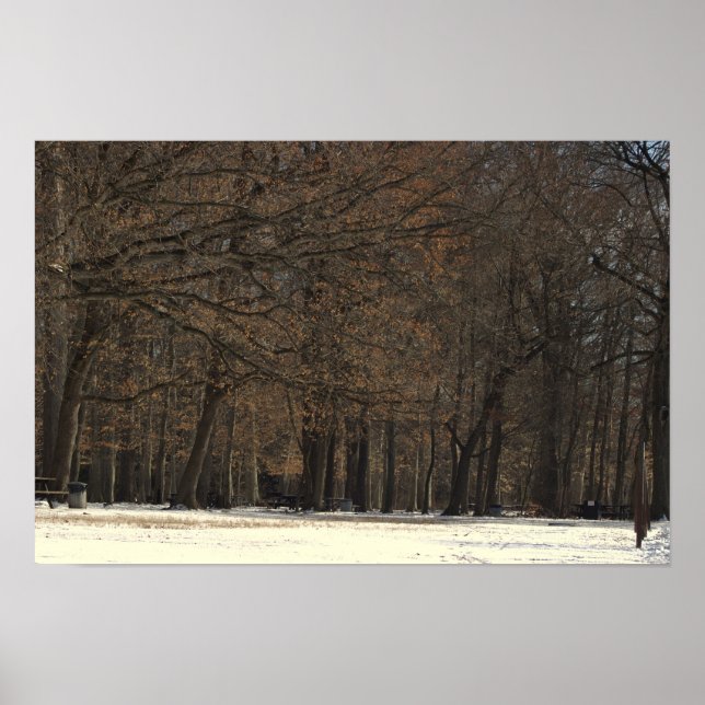 Park Trees and Snow Poster (Vorne)