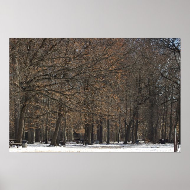 Park Trees and Snow Poster (Vorne)
