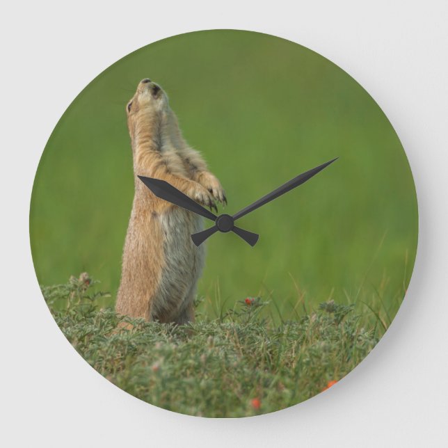 Park USA, South Dakota, Custer Staat Große Wanduhr (Vorderseite)