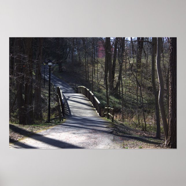Park Walking Bridge Poster (Vorne)