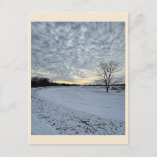 Park Winter Sonnenuntergang Postkarte