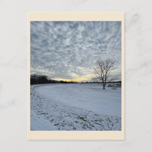 Park Winter Sunset Postcard Postkarte (Vorderseite)