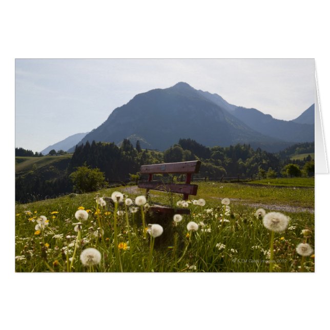 Parkbank auf dem Land (Vorderseite (Horizontal))