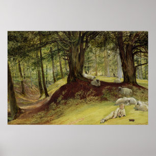Parkhurst Woods, Abinger, Surrey Poster