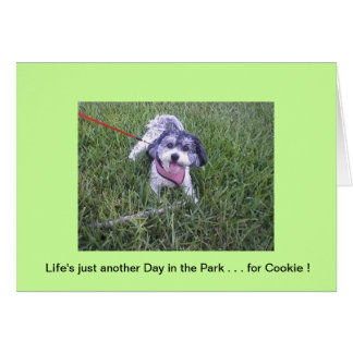 Parktag
