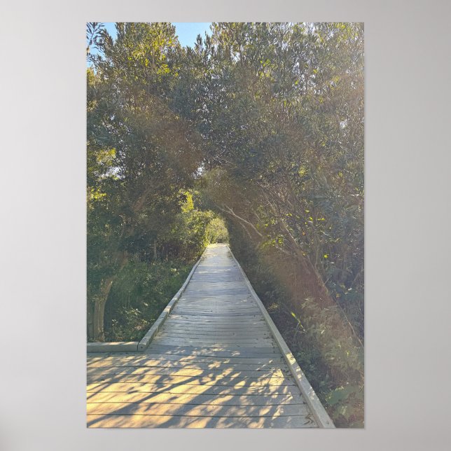 Parkwegplakat Poster (Vorne)