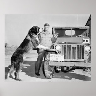 Parlamentarier Maskottchen: 1942 Poster