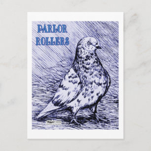 Parlor Roller Pigeon Postkarte