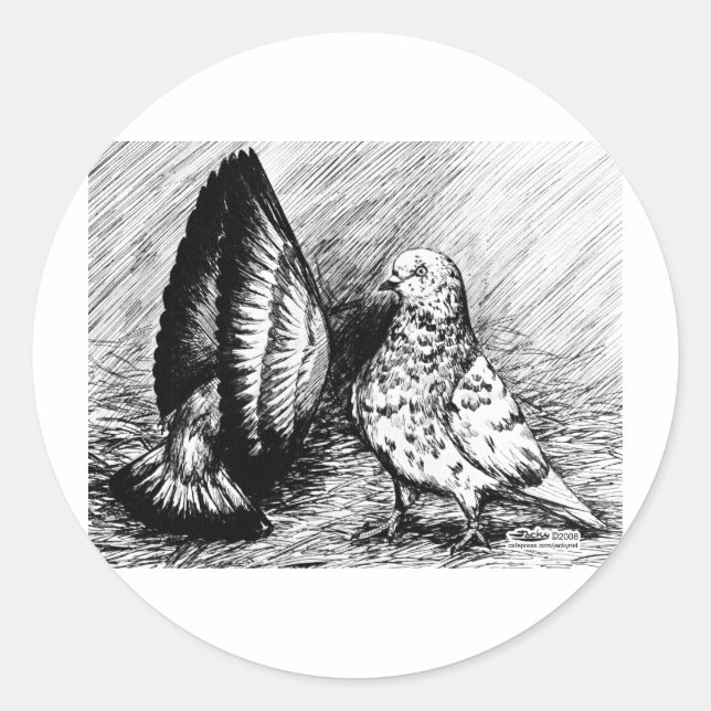 Parlor Roller Tauben Runder Aufkleber (Vorderseite)