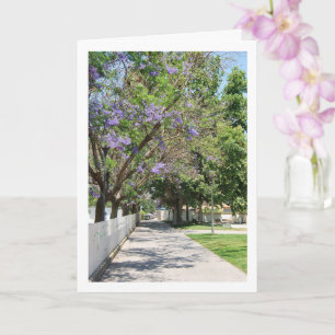 Parque de la Bombilla, Lliria, Valencia, Spanien Karte