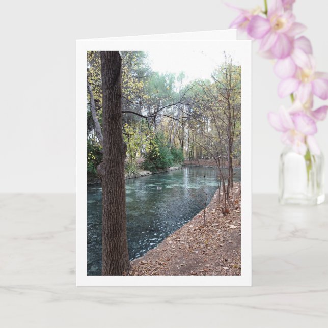 Parque Municipal San Vicente, Lliria, Valencia Karte (Orchidee)