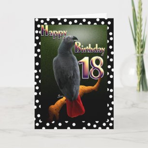 Parrot African Gray bird polka dot 18 Birthday Karte