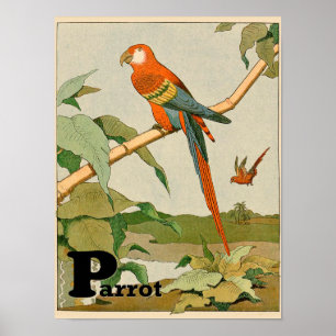Parrot Alphabet Tier im Dschungel Poster
