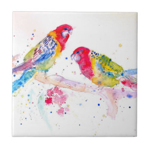 Parrot Art Wasserfarben Malerei Aqua Aquamarin Fliese