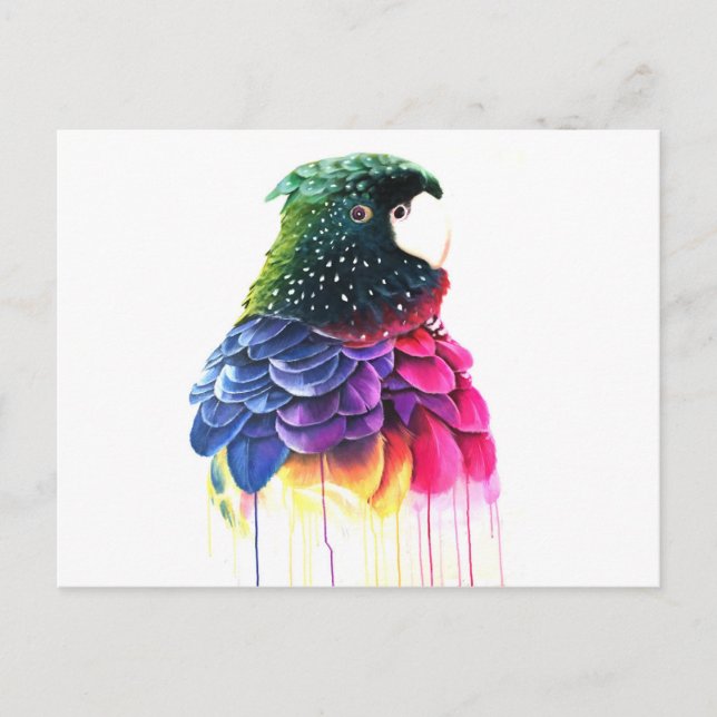 Parrot Bird Abstrakte Ölgemälde Postkarte (Vorderseite)