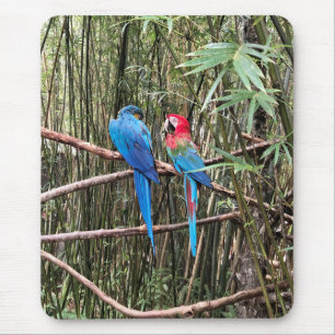 Parrot Bird Tropical Foto Mouse Pad Mousepad