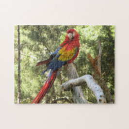 Parrot Bird tropisch farbenfroh Puzzle