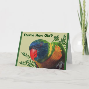 Parrot Birthday Card Karte
