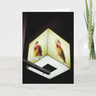 "Parrot Cash Register Light" Danke Karte